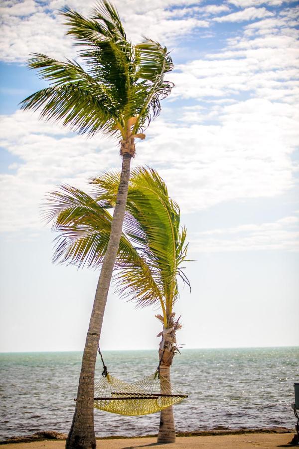 Ragged Edge Resort & Marina Islamorada Εξωτερικό φωτογραφία
